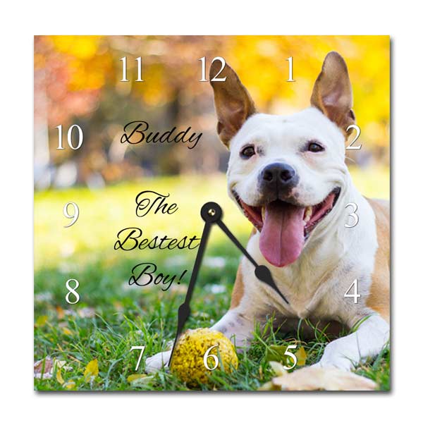 Keep the time with a custom wall clock that has a pciture of your pet on it
