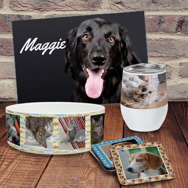 Create something extra special and personalized for your pet