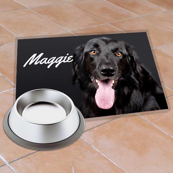 Laminated place mats are a great for protecting your floor from accidents and highlighting your pets feeding area